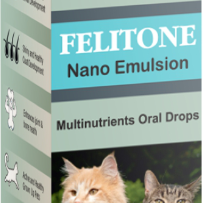 FELITONE